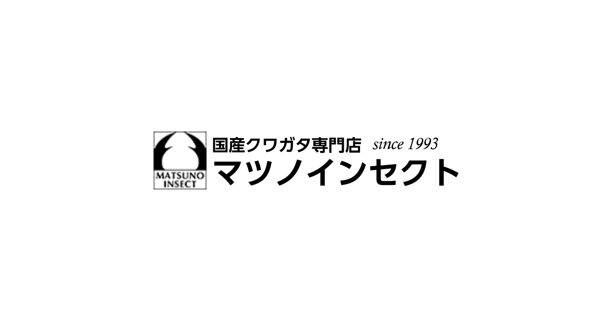 国産クワガタの成虫・飼育用品販売店｜マツノインセクト