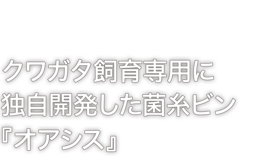 各種クワガタ飼育用品を販売朽木を使用した当店独自の菌糸ビン『オアシス』